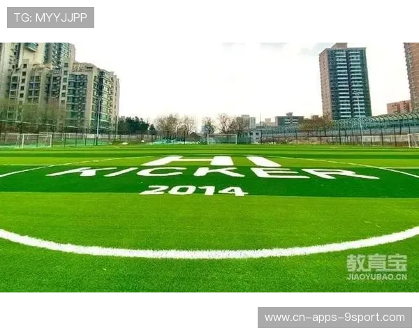 俱乐部场馆多功能改造的融资与合作模式案例，俱乐部场地类型